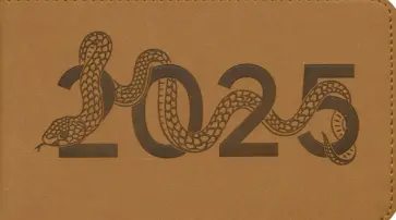 Еженедельник датированный на 2025 год Виннер, 64 листа, Коричневый Еженедельник датированный на 2025 год Виннер, 64 листа, Коричневый обложка книги