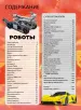 Миниатюра 4