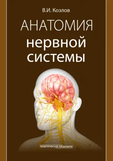 Валентин Козлов - Анатомия нервной системы. Учебное пособие обложка книги