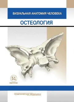 Обложка книги Визуальная анатомия человека. Остеология. Карточки, 51 штука, Варенцов В. Е., Тимофеева М. О.