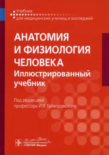 Гайворонский, Гайворонский - Анатомия и физиология человека. Иллюстрированный учебник обложка книги