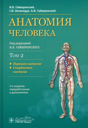 Гайворонский, Гайворонский - Анатомия человека. Учебник. В 2-х томах. Том 2. Нервная система. Сосудистая система обложка книги