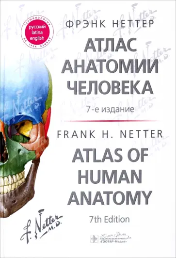 Фрэнк Неттер - Атлас анатомии человека обложка книги