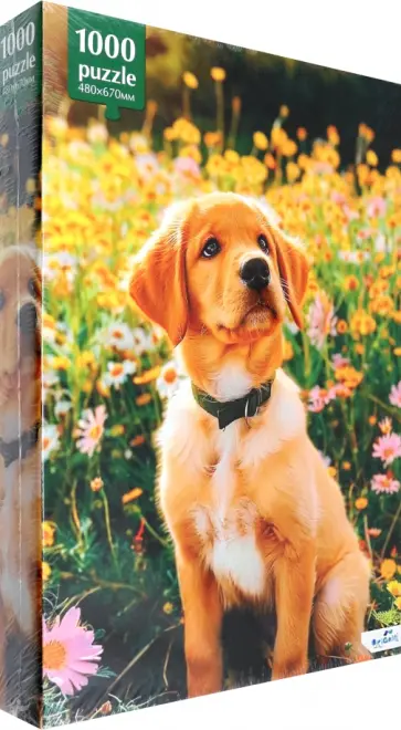 Пазл-1000 Прогулка с другом обложка книги