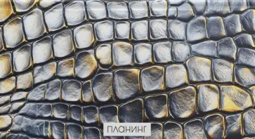 Планинг карманный недатированный Snake, 64 листа обложка книги