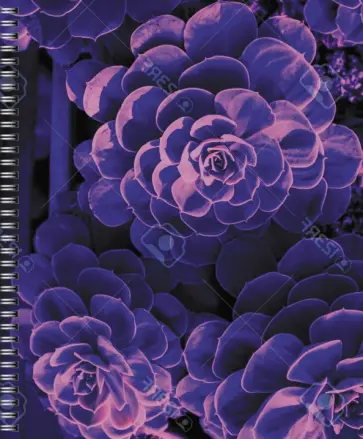 Тетрадь Violet Mix, 96 листов, клетка, в ассортименте обложка книги