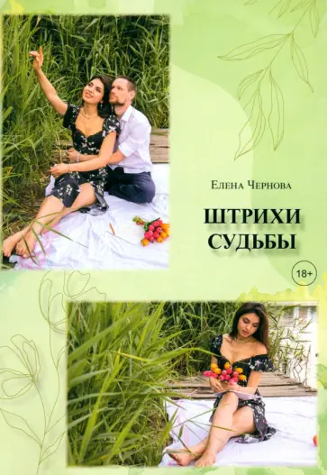 Елена Чернова - Штрихи судьбы Елена Чернова - Штрихи судьбы обложка книги