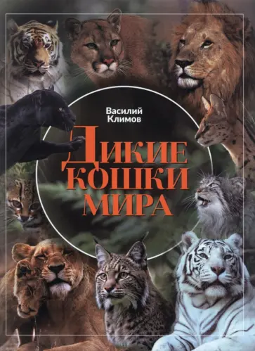 Василий Климов - Дикие кошки мира Василий Климов - Дикие кошки мира обложка книги