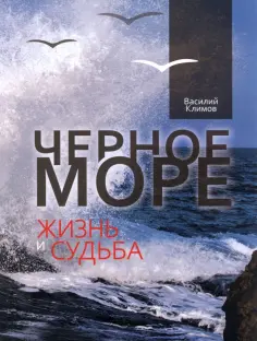 Василий Климов - Черное море. Жизнь и судьба обложка книги