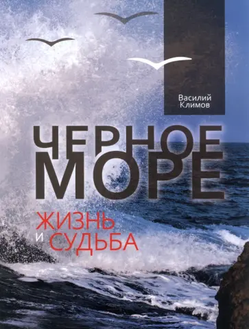 Василий Климов - Черное море. Жизнь и судьба Василий Климов - Черное море. Жизнь и судьба обложка книги