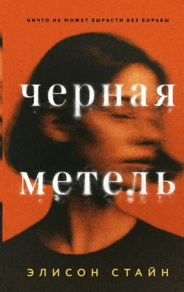 Элисон Стайн - Черная метель обложка книги