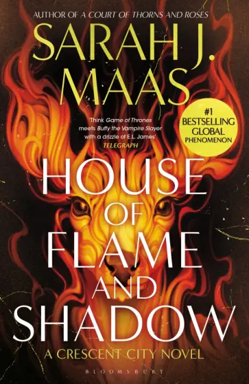 Sarah Maas - House of Flame and Shadow обложка книги