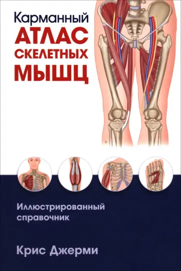 Крис Джерми - Карманный атлас скелетных мышц. Иллюстрированный справочник обложка книги