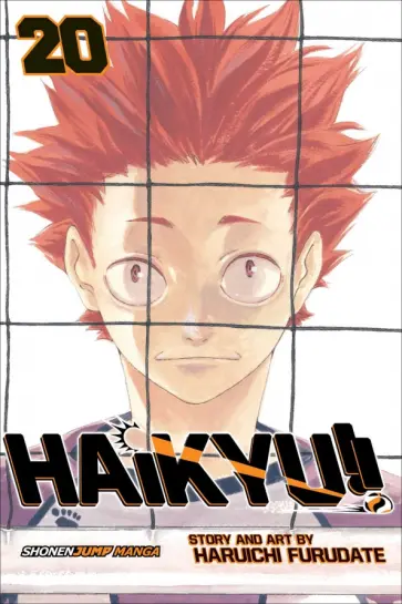 Haruichi Furudate - Haikyu!! Volume 20 обложка книги