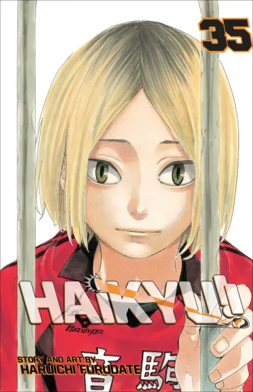 Haruichi Furudate - Haikyu!! Volume 35 обложка книги