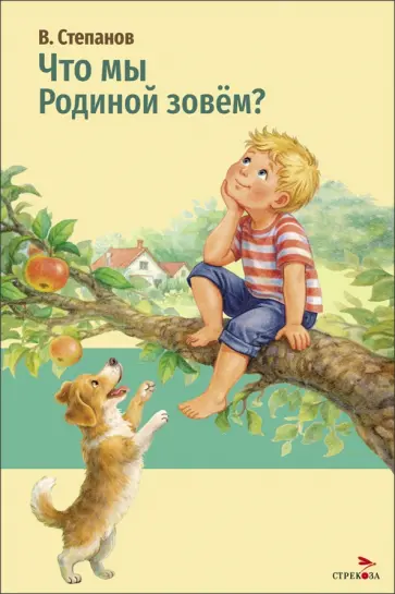 Владимир Степанов - Что мы Родиной зовем? обложка книги