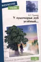 Внеклассное чтение
