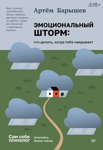 Артем Барышев - Эмоциональный шторм. Что делать, когда тебя накрывает. Успокойся. Прямо сейчас обложка книги