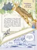 Миниатюра 4