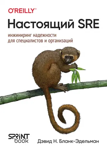 Дэвид Бланк-Эдельман - Настоящий SRE. Инжиниринг надежности для специалистов и организаций обложка книги