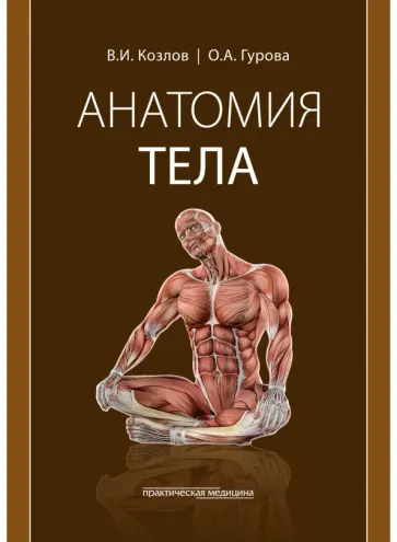 Козлов, Гурова - Анатомия тела. Учебное пособие обложка книги