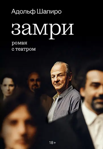 Адольф Шапиро - Замри. Роман с театром обложка книги