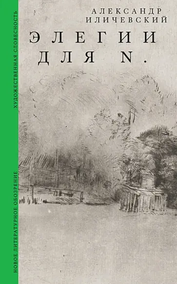 Александр Иличевский - Элегии для N. обложка книги