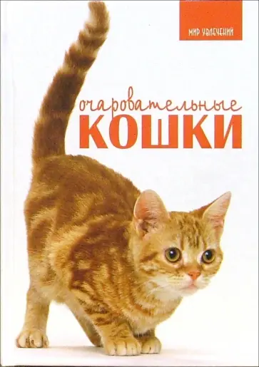 Карен Принс - Очаровательные кошки обложка книги