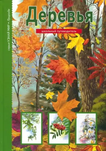 Сергей Афонькин - Деревья. Школьный путеводитель обложка книги