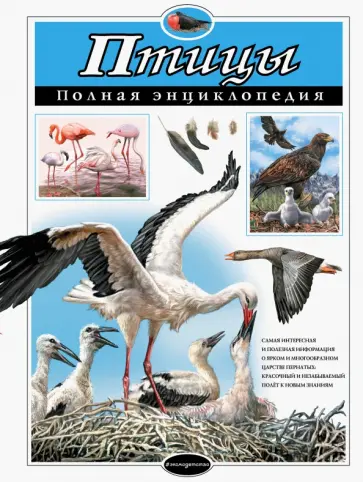 Юлия Школьник - Птицы. Полная энциклопедия обложка книги