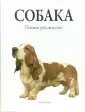 Вайтхэд Сара
