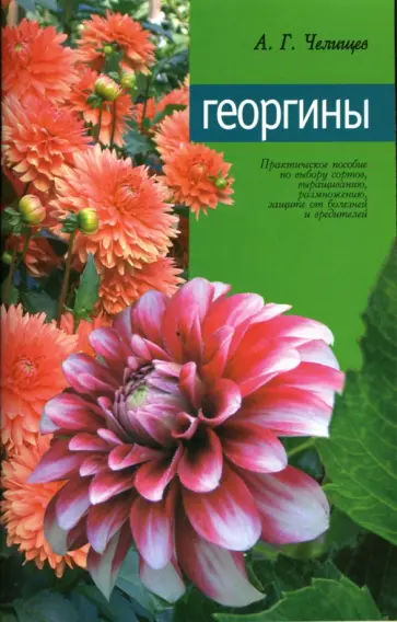 Анатолий Челищев - Георгины Анатолий Челищев - Георгины обложка книги