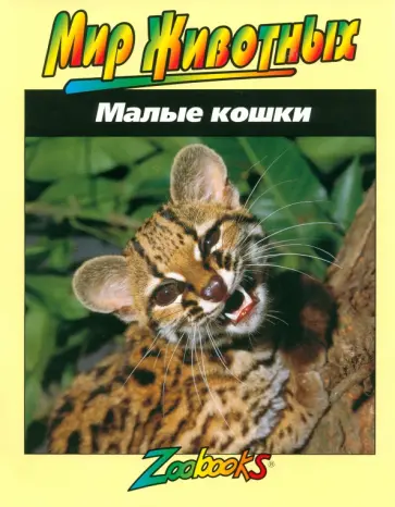 Джон Веско - Малые кошки обложка книги