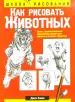Миниатюра 1