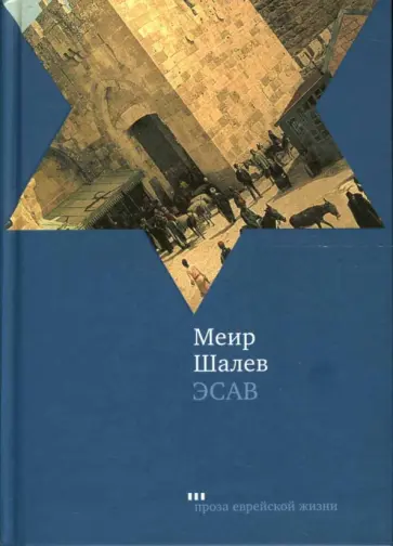 Меир Шалев - Эсав обложка книги