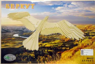 Беркут (80417) обложка книги