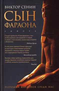 Амфора 2007
