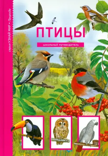 Александр Бугаев - Птицы Александр Бугаев - Птицы обложка книги