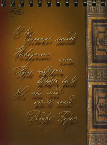 Блокнот 40 листов Рукописи (21523) обложка книги