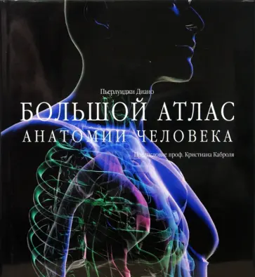 Пьерлуиджи Диано - Большой атлас анатомии человека обложка книги