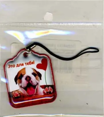 Подвеска (ВР036) Это для тебя! обложка книги