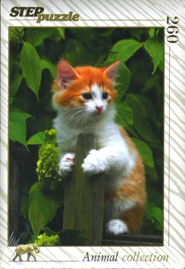 Step Puzzle-260 Рыжик (74046) обложка книги