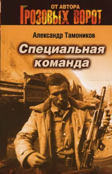 Александр Тамоников - Специальная команда (мяг) обложка книги