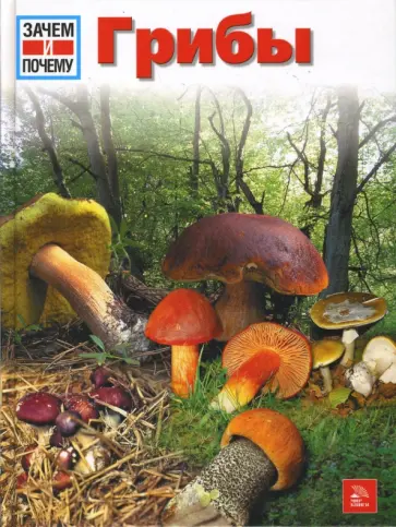 Хайке Херрман - Грибы обложка книги