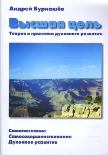 Андрей Бурнашев - Высшая цель обложка книги