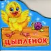 Миниатюра 1