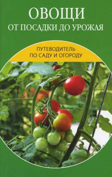 Ермакова, Черясова - Овощи от посадки до урожая: сбор, хранение, переработка Ермакова, Черясова - Овощи от посадки до урожая: сбор, хранение, переработка обложка книги