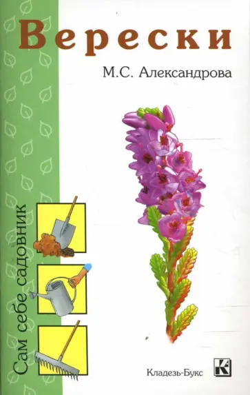 Марина Александрова - Верески Марина Александрова - Верески обложка книги