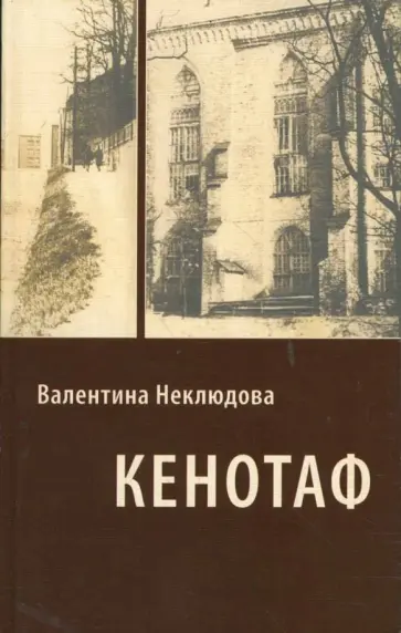 Валентина Неклюдова - Кенотаф Валентина Неклюдова - Кенотаф обложка книги