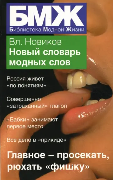 Владимир Новиков - Новый словарь модных слов обложка книги